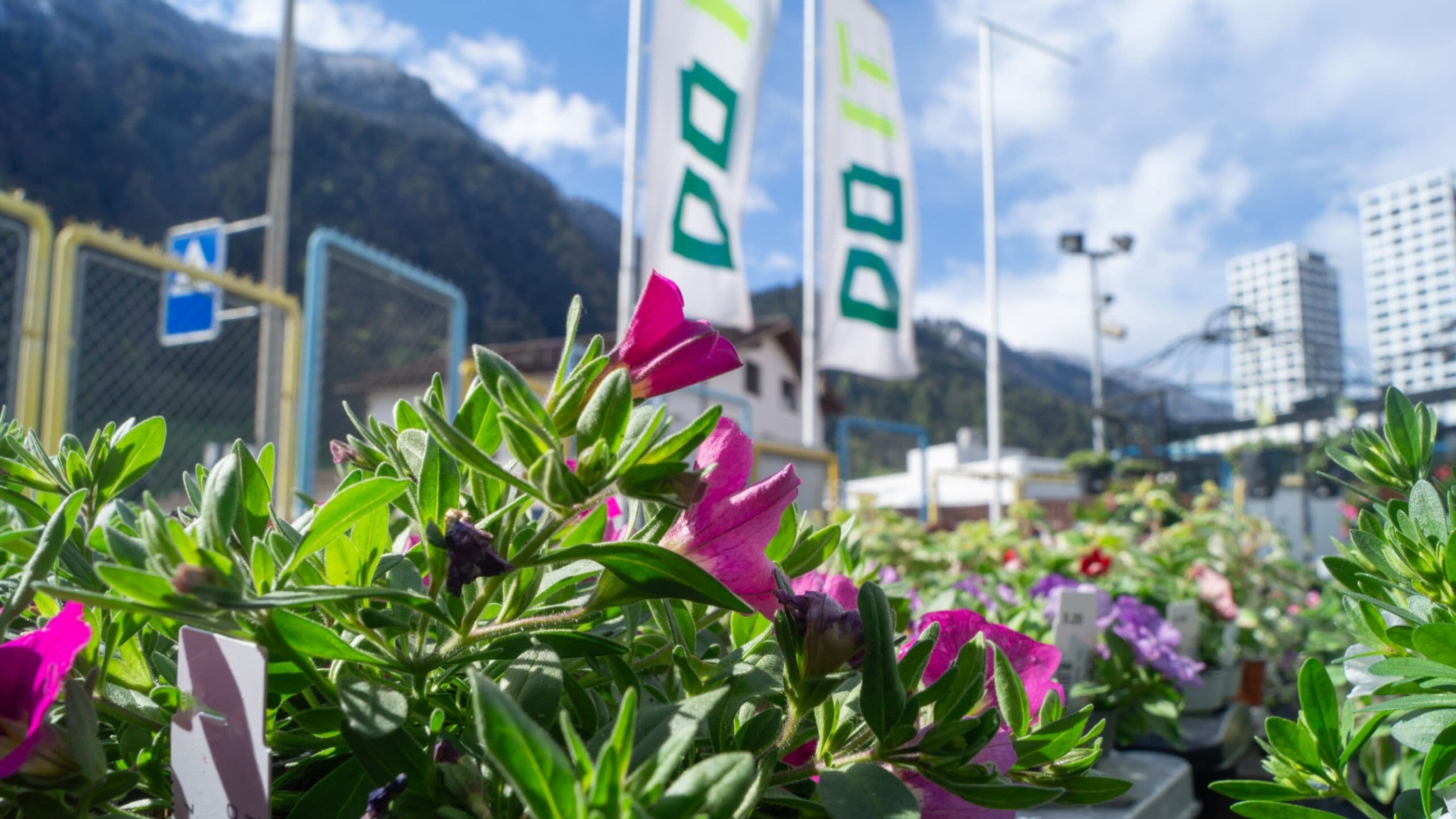 Flower market at DO IT Chur
