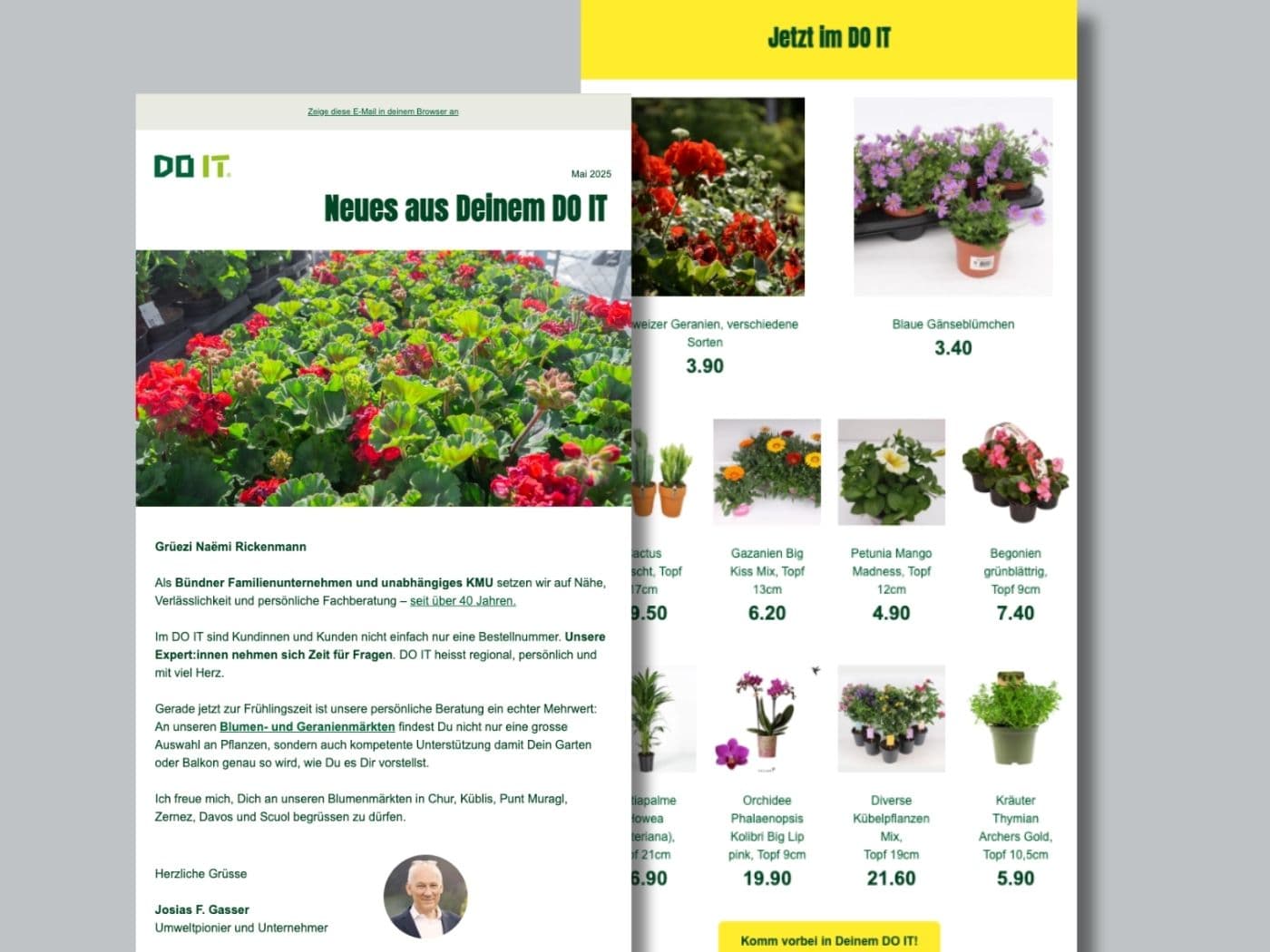 Newsletter for the flower market